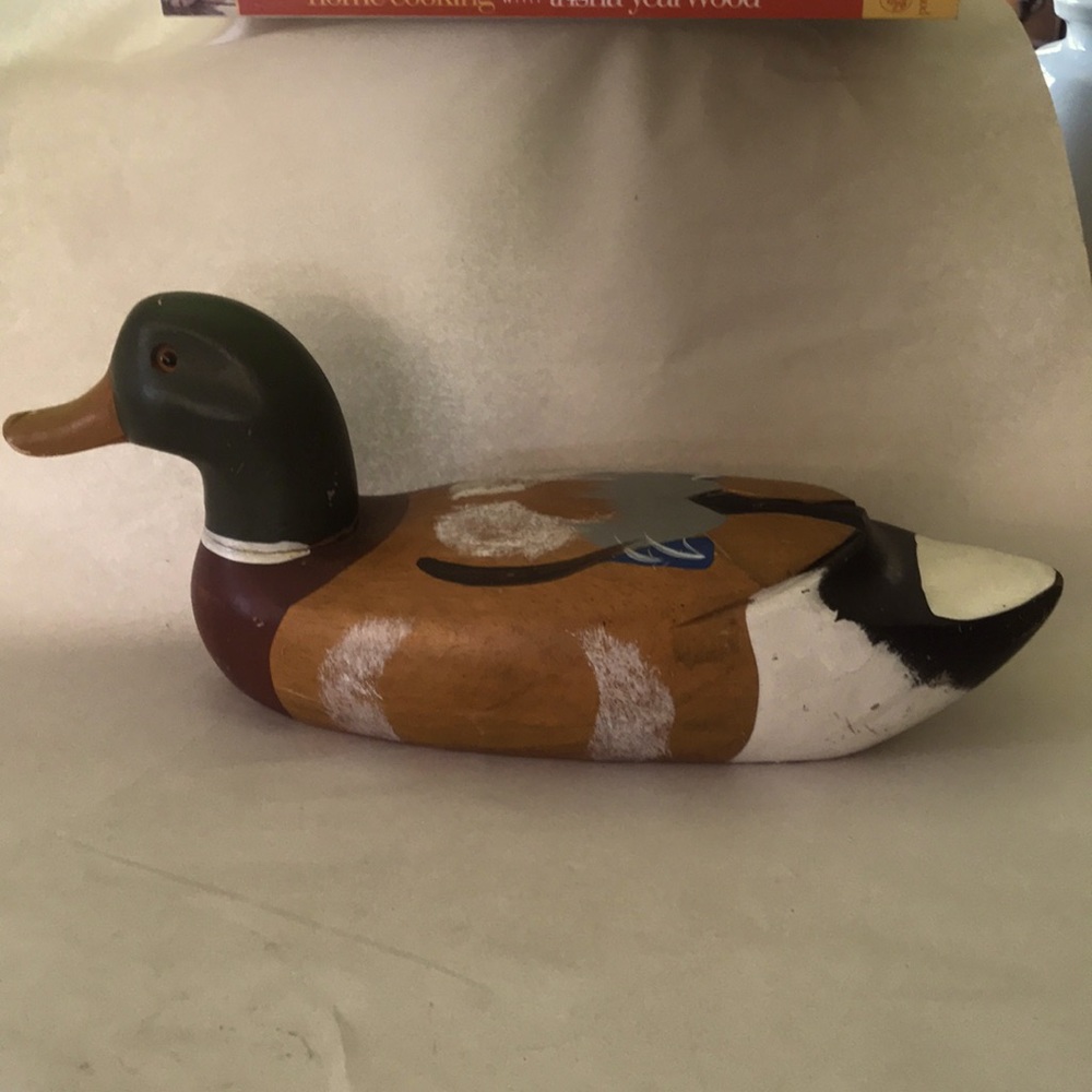 Wood Duck